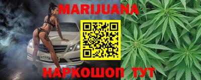 индика Камышлов