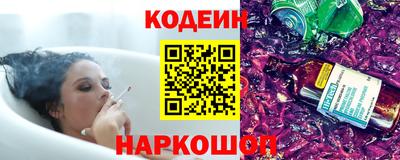 индика Камышлов