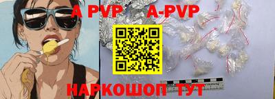 индика Камышлов