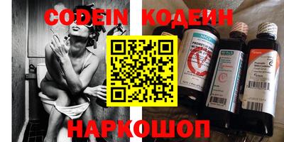 индика Камышлов