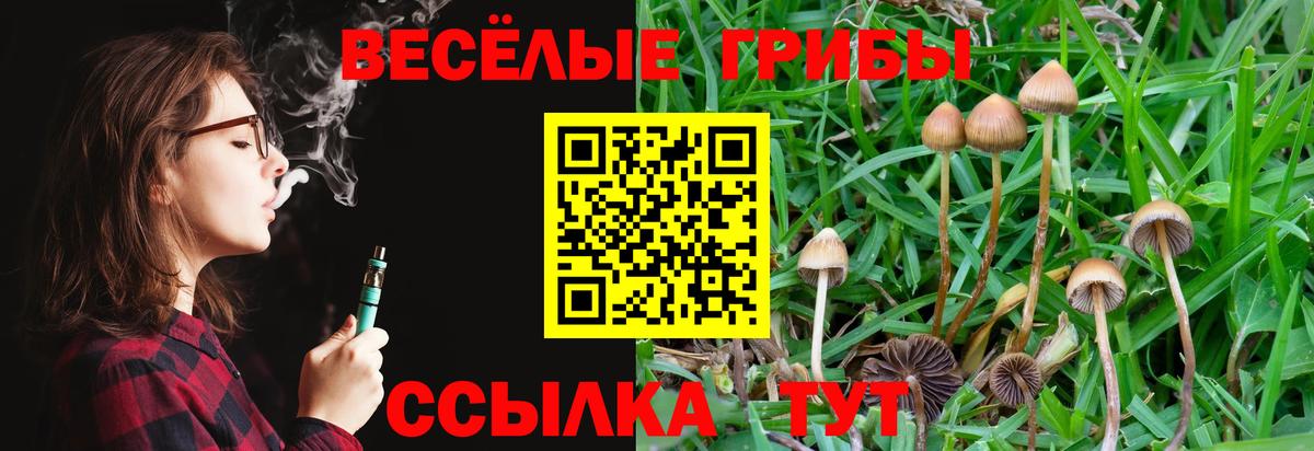 Псилоцибиновые грибы мицелий  Галлюциногенные грибы GOLDEN TEACHER  Вход с VPN  Туапсе 
